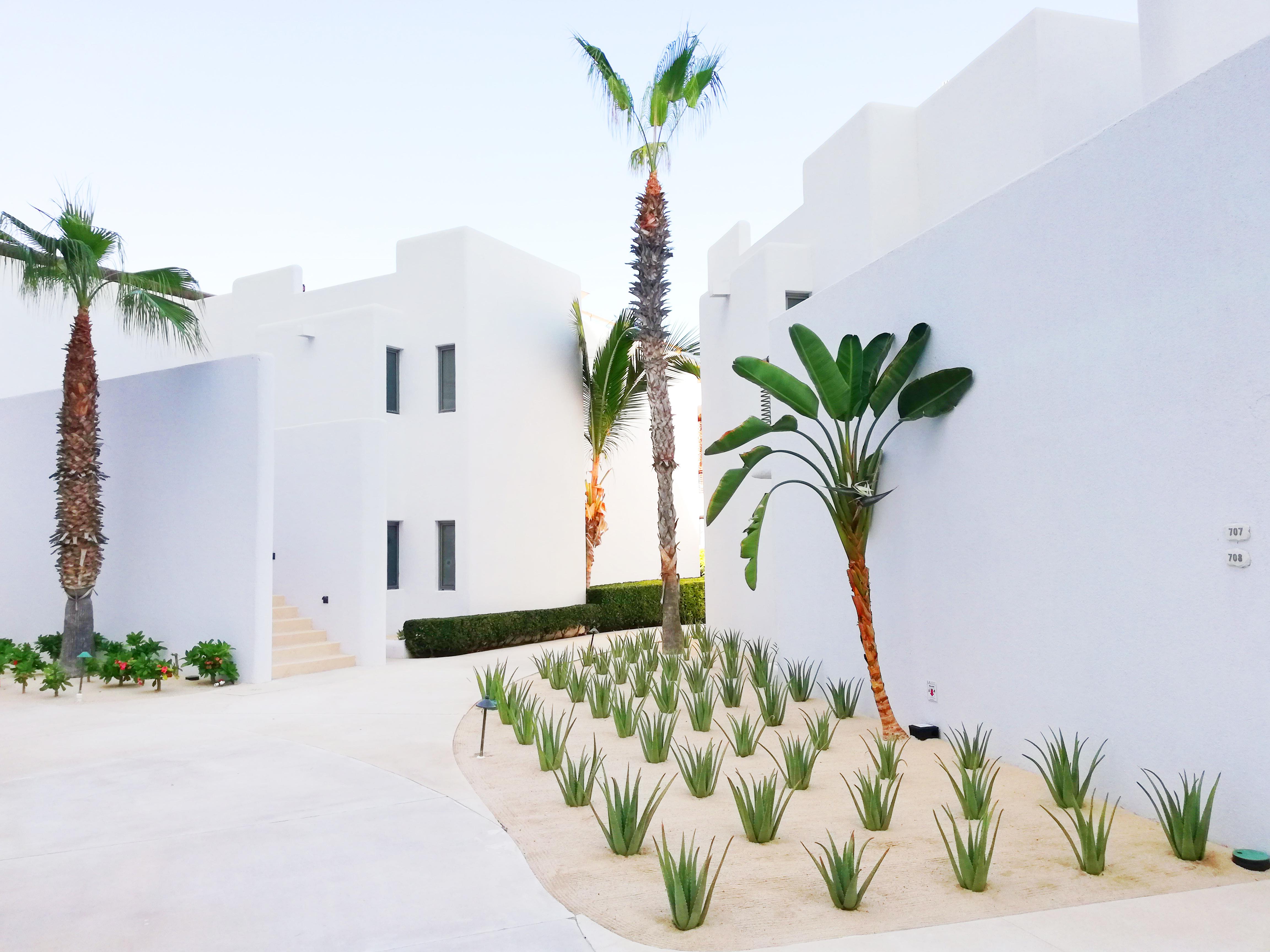 Marquis Los Cabos, An All - Inclusive, Adults - Only & No Timeshare Resort San José del Cabo Exteriér fotografie